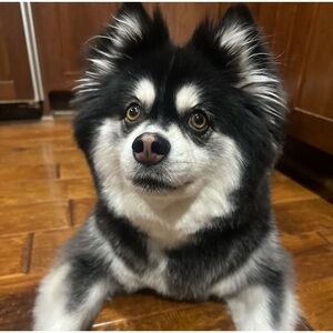 UNLISTED SHOW ITEM 24